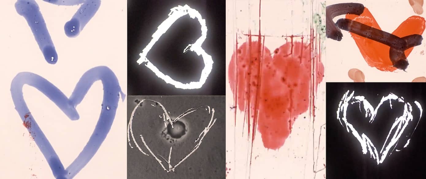 02162025 Tactile Filmmaking Workshop Web Banner