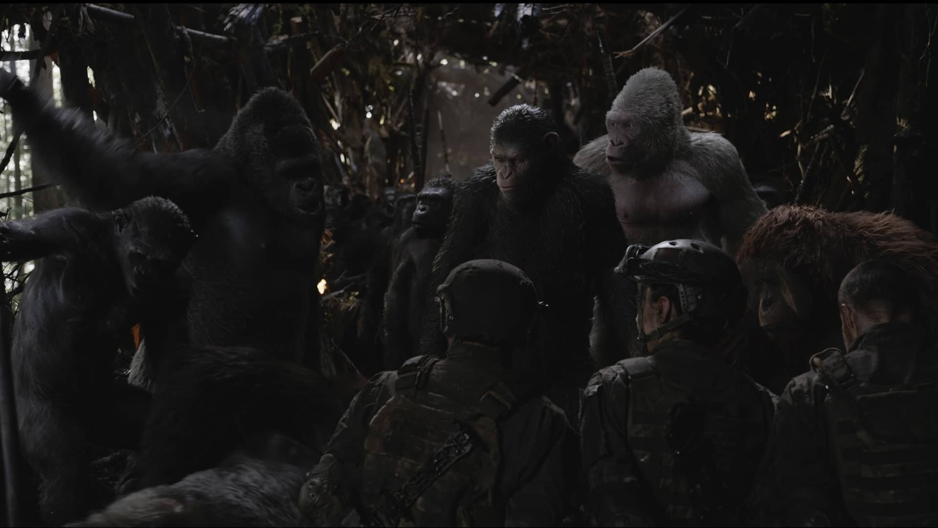 Nov11 WAR FOR THE PLANET OF THE APES BranchSelects3MHL