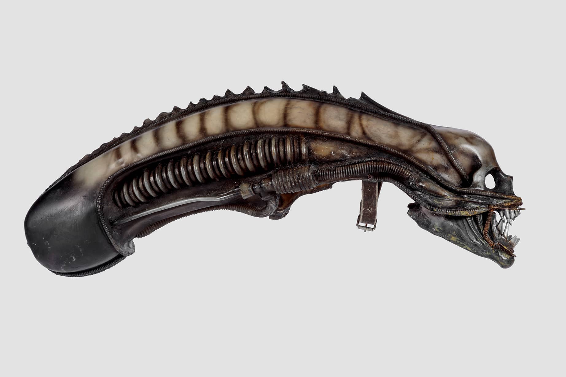 Extraterrestrial headpiece worn in <i>Alien</i> (1979). Academy Museum of Motion Pictures. Photo by Joshua White, JWPictures/©Academy Museum Foundation