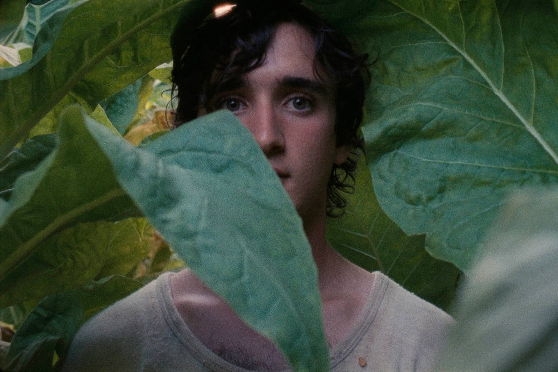 HAPPY AS LAZZARO