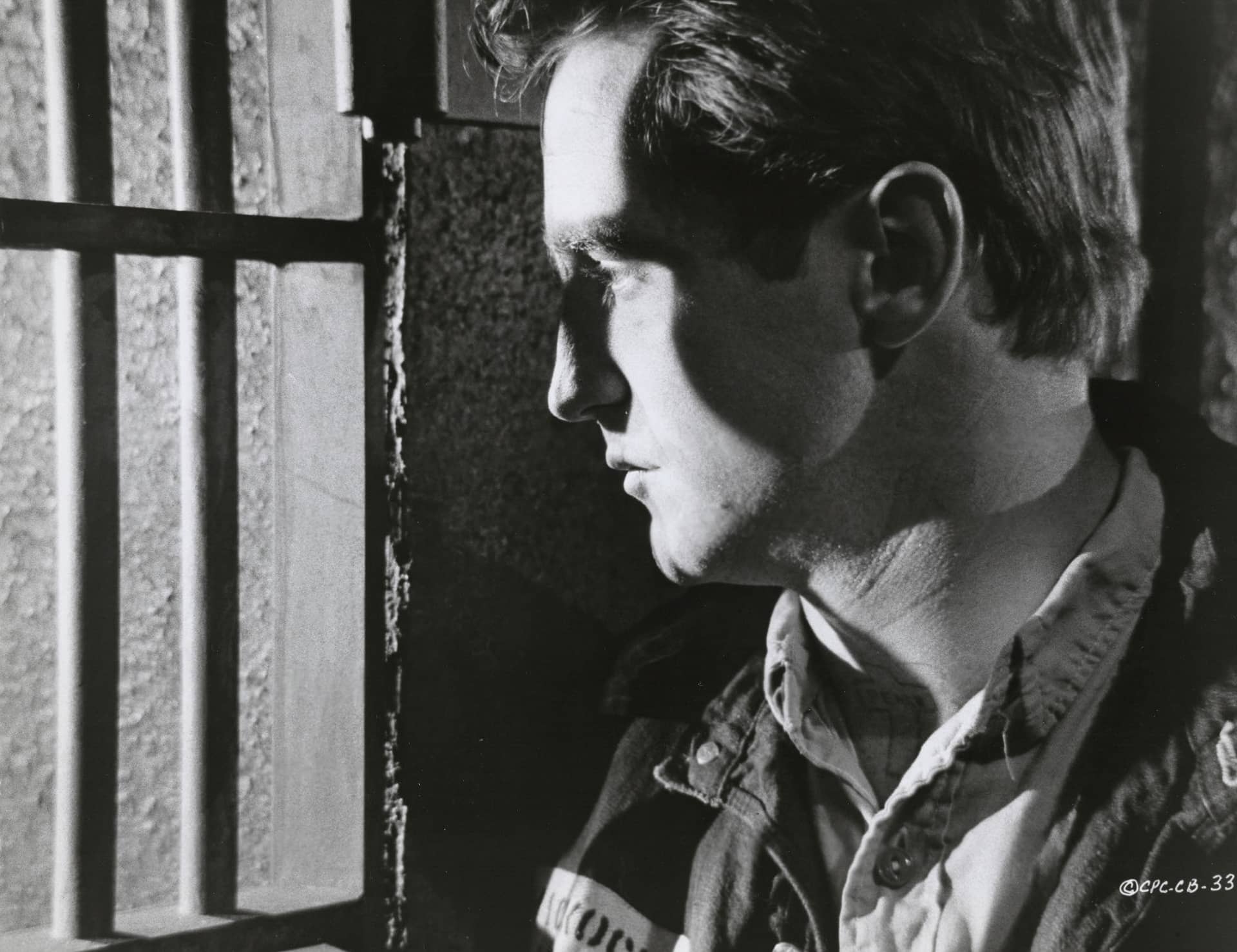 Jul31 IN COLD BLOOD BranchSelectsMHL8-banner