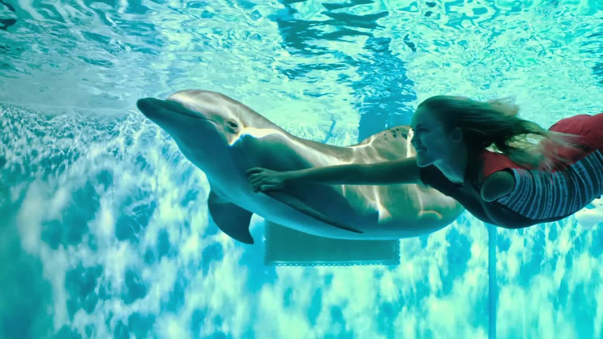 Apr26 DOLPHIN TALE 2 FamilyMatinees7