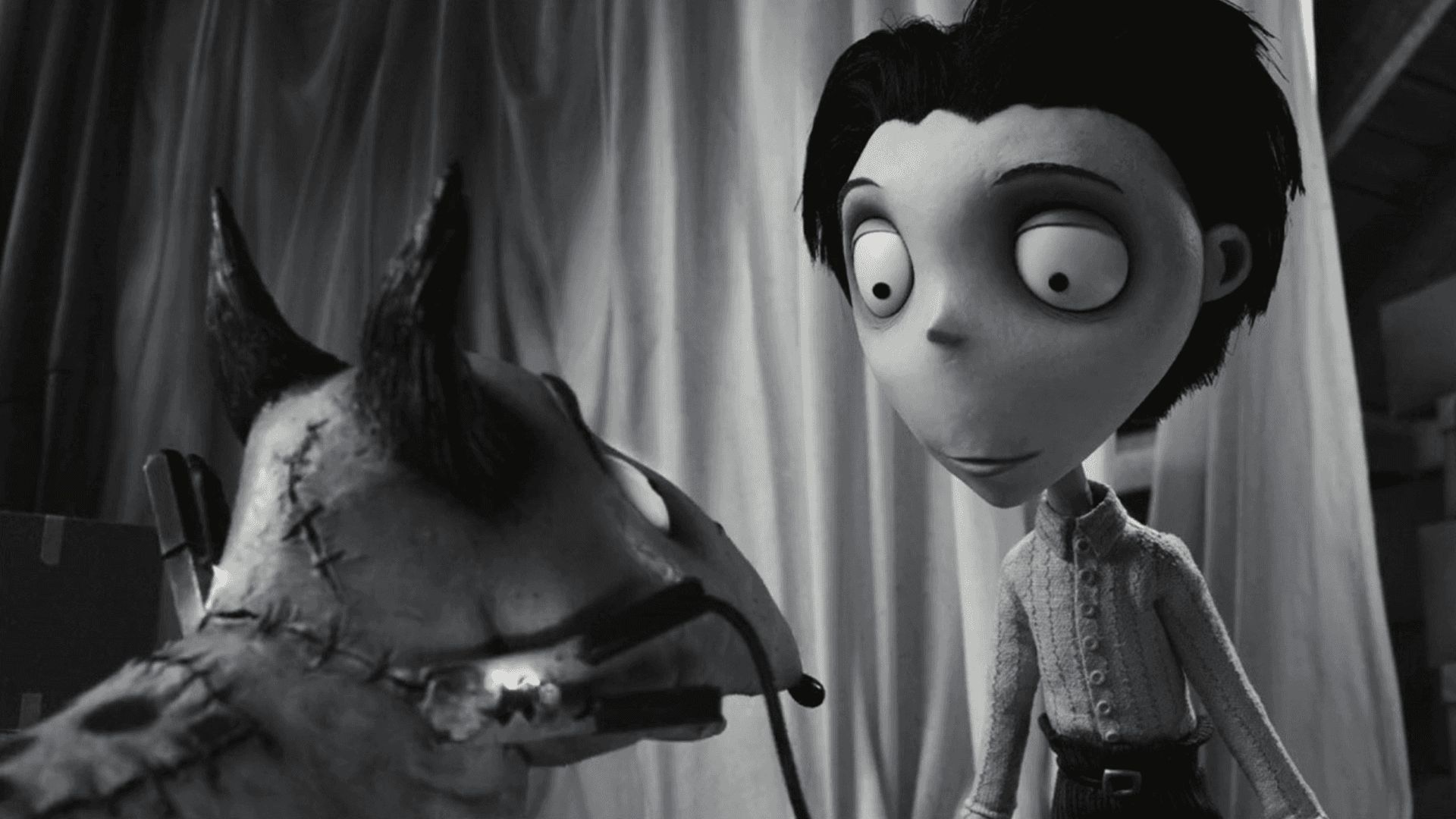 Nov14 FRANKENWEENIE FamilyMatinees2