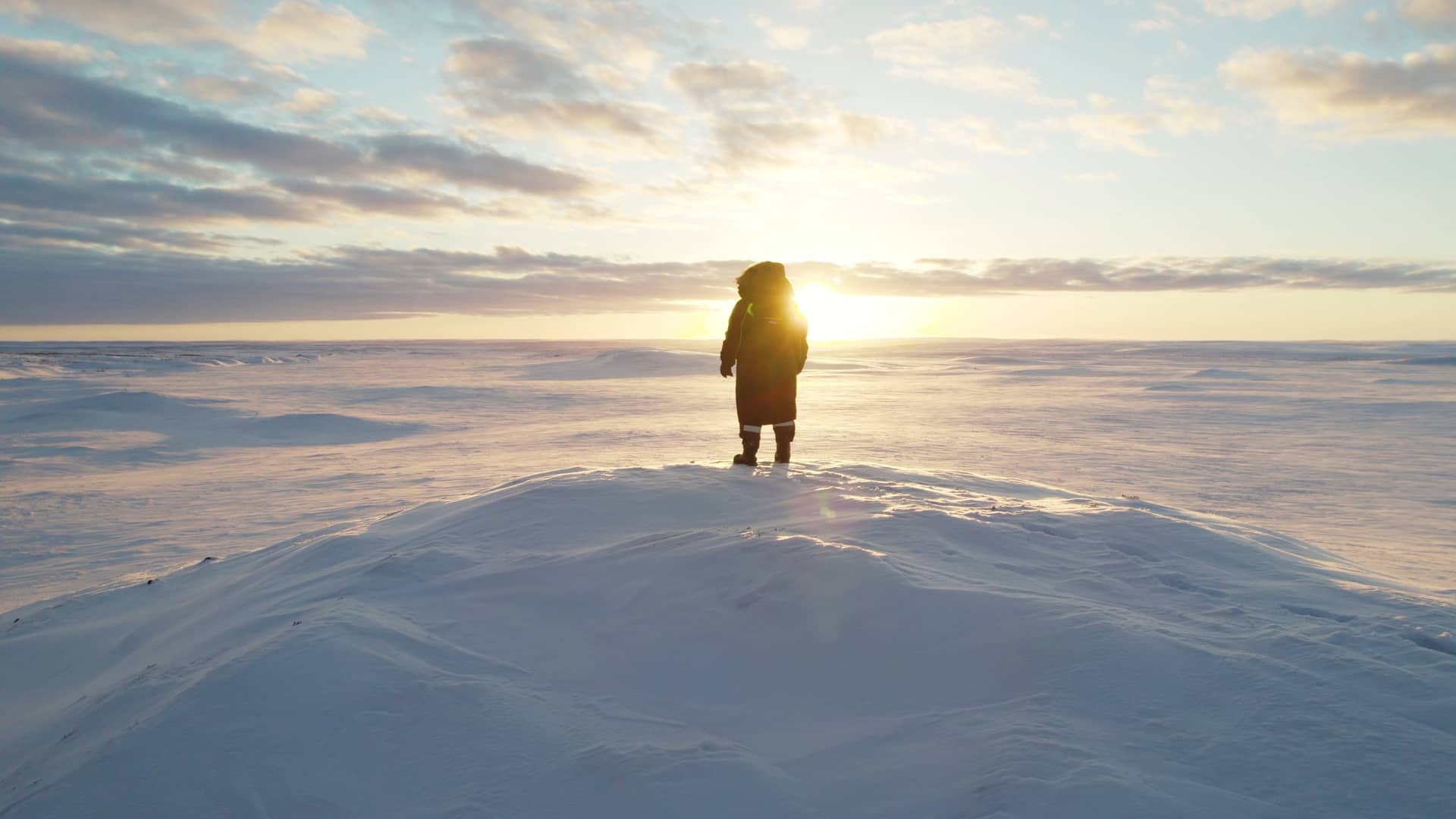 The past and the future of the Arctic