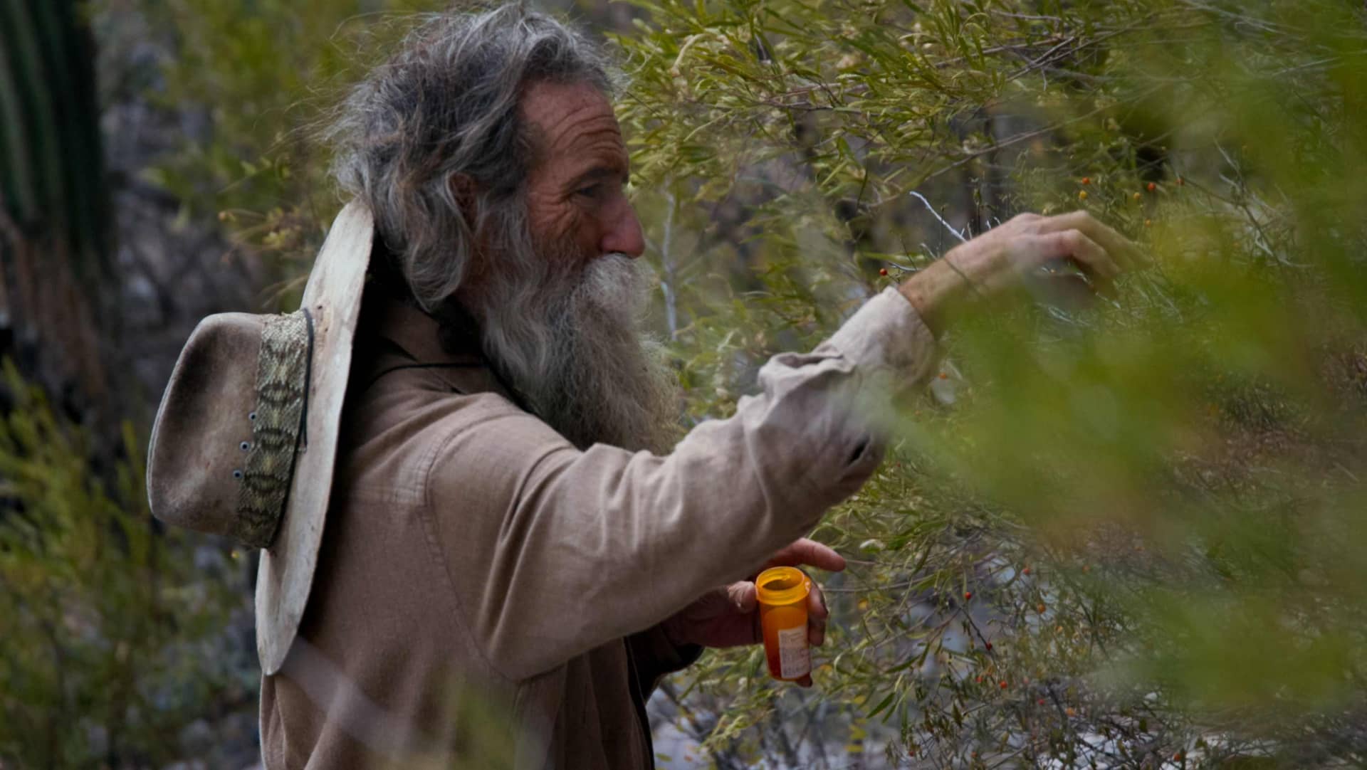 A SHAPE OF THINGS TO COME