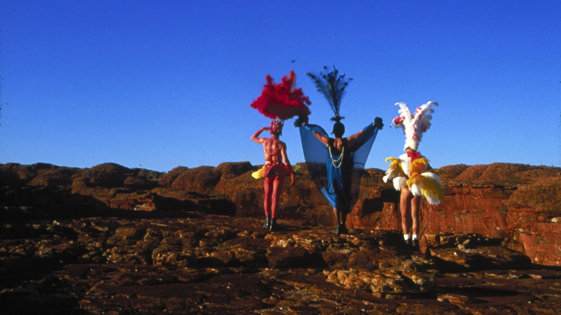 The Adventures of Priscilla, Queen of the Desert in 35mm