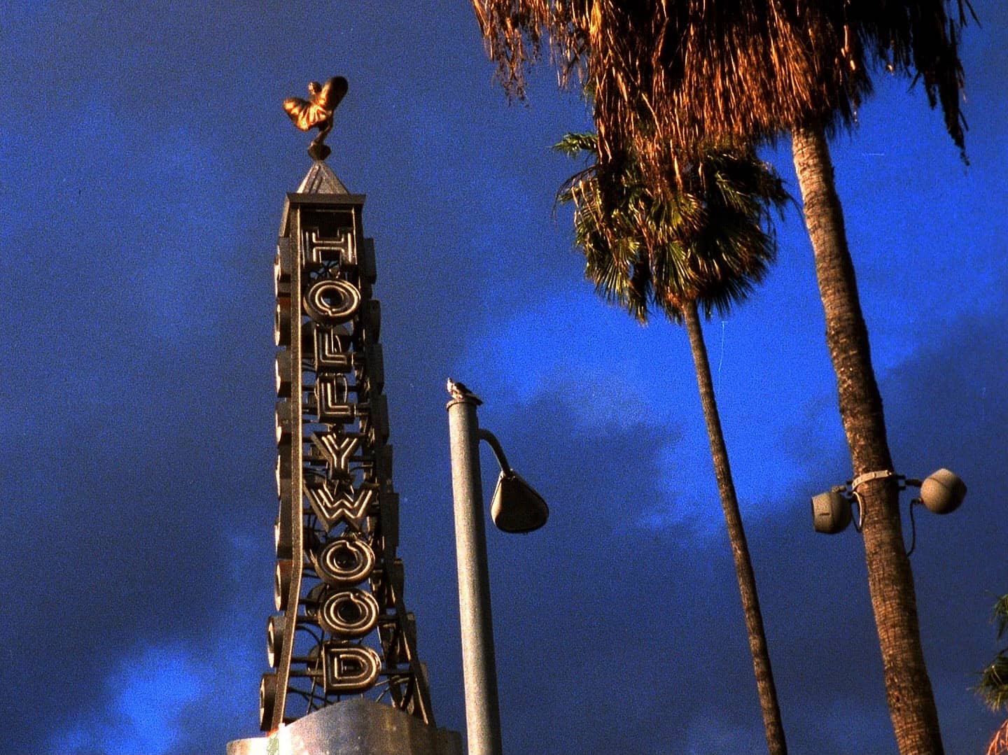 Jun2 LOS ANGELES PLAYS ITSELF-SummerCinemaGuild2-banner