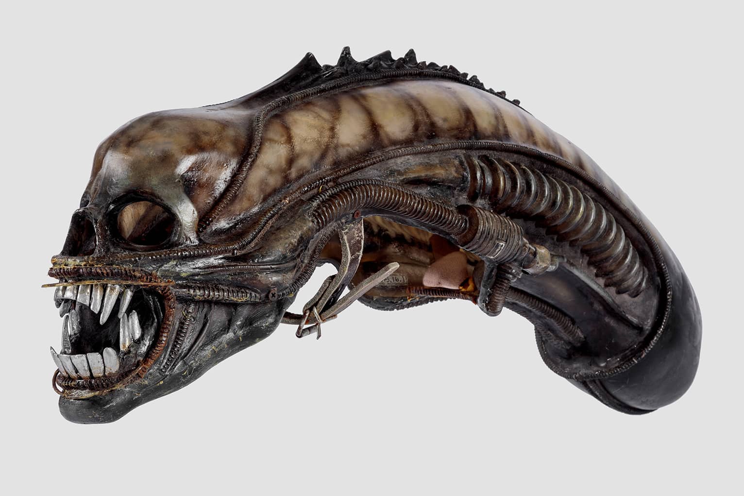 Extraterrestrial headpiece worn in <i>Alien</i> (1979). Academy Museum of Motion Pictures. Photo by Joshua White, JWPictures/©Academy Museum Foundation