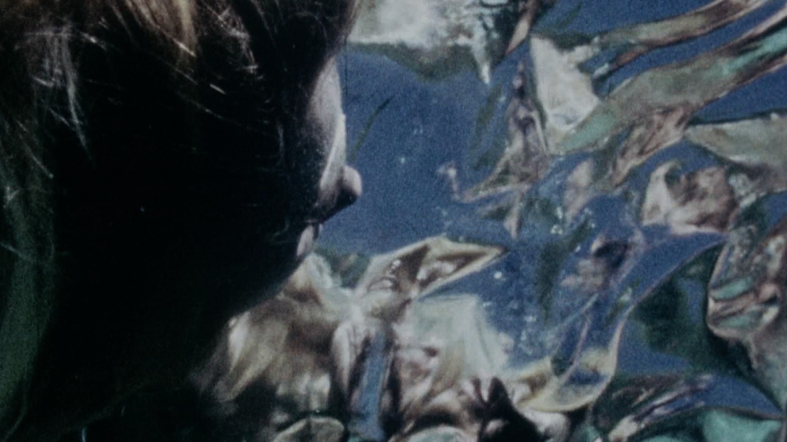 Gunvor Nelson Tribute II: Moons Pool