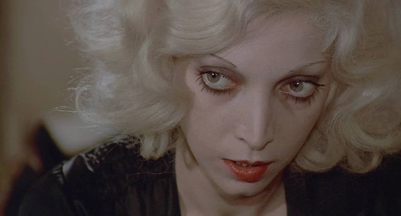 Take Off with Love and Anarchy