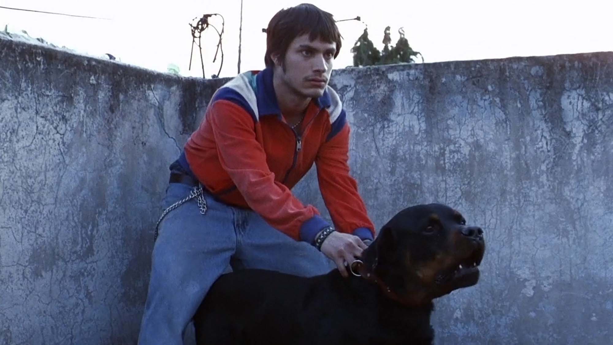 Amores Perros in 4K with Alejandro G. Iñárritu