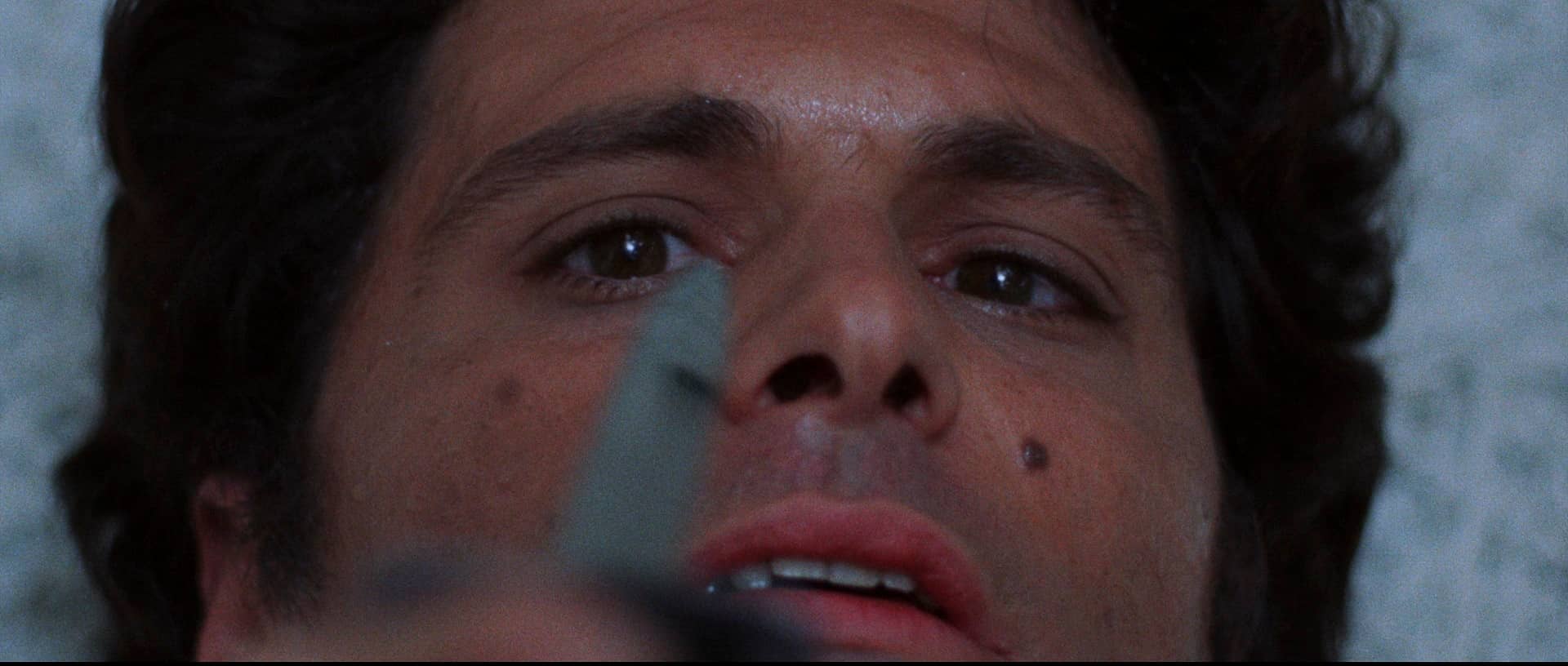 The Bird with the Crystal Plumage (L'uccello dalle piume di cristallo)