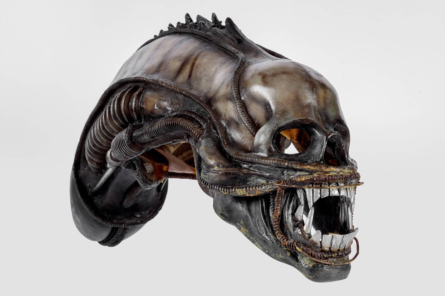 Extraterrestrial headpiece worn in <i>Alien</i> (1979). Academy Museum of Motion Pictures. Photo by Joshua White, JWPictures/©Academy Museum Foundation
