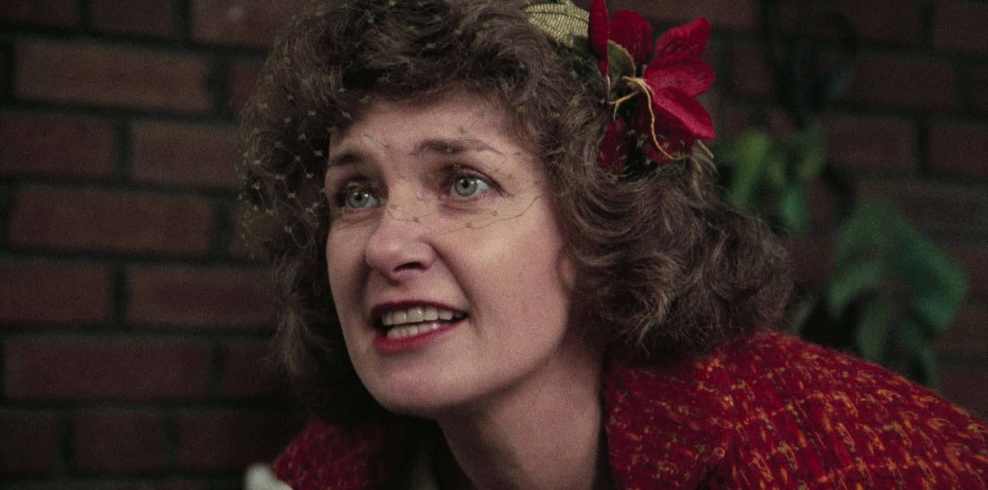 The Effect of Gamma Rays on Man-in-the-Moon Marigolds in 4K