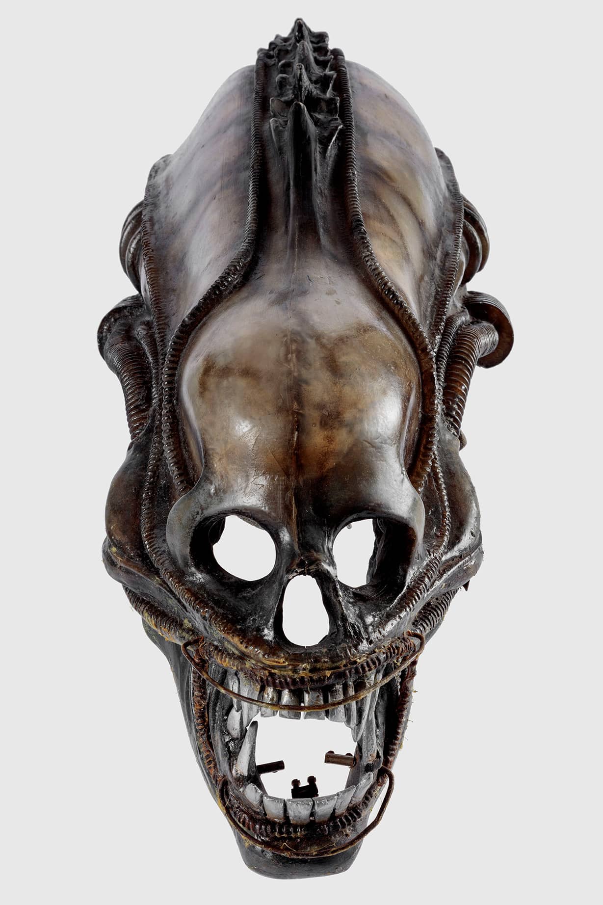 Extraterrestrial headpiece worn in <i>Alien</i> (1979). Academy Museum of Motion Pictures. Photo by Joshua White, JWPictures/©Academy Museum Foundation