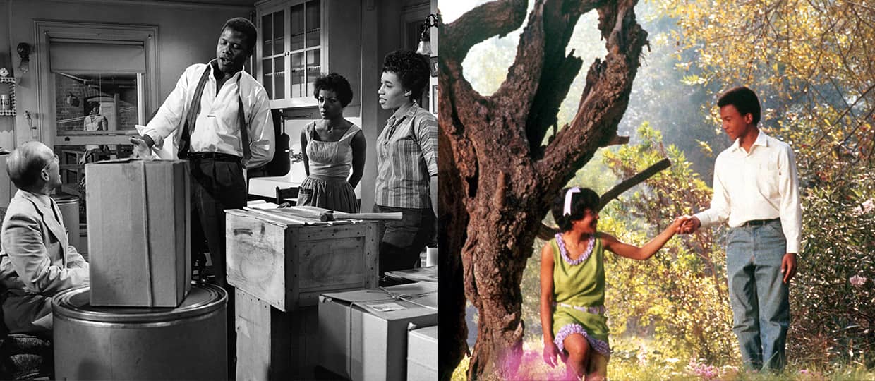 A Raisin in the Sun with The Learning Tree