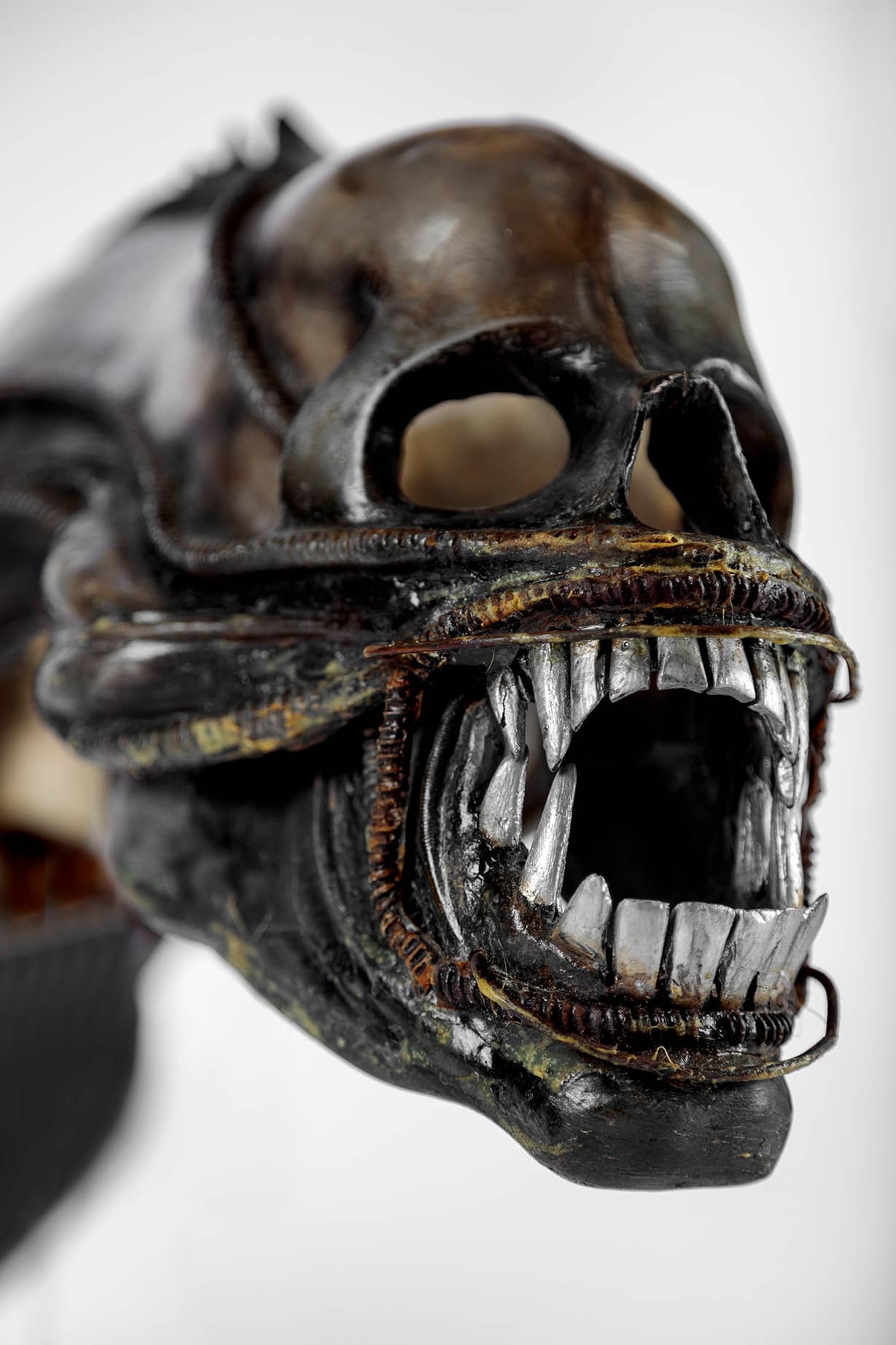 Extraterrestrial headpiece worn in <i>Alien</i> (1979). Academy Museum of Motion Pictures. Photo by Joshua White, JWPictures/©Academy Museum Foundation