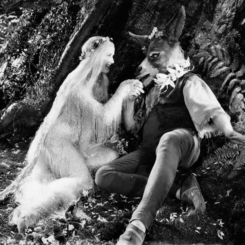 A Midsummer Night’s Dream